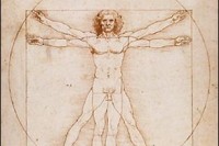 Der menschliche Körper