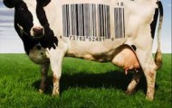 Food, Inc.