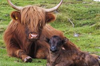urgeschmack_news