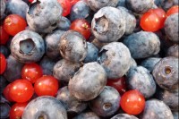 heideljohannisbeeren