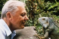david-attenborough