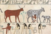 800px-Egyptian_Domesticated_Animals