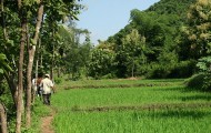 640px-Polyculture