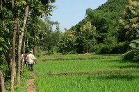 640px-Polyculture