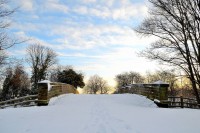 winter-landscape-1328436431lvg
