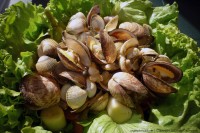 Gemischter Muscheltopf