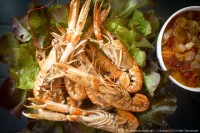 Kaisergranat im Salatbett mit Tomatensoße