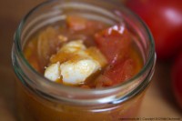 Fisch in Tomatensoße