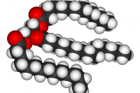 739px-Trimyristin-3D-vdW