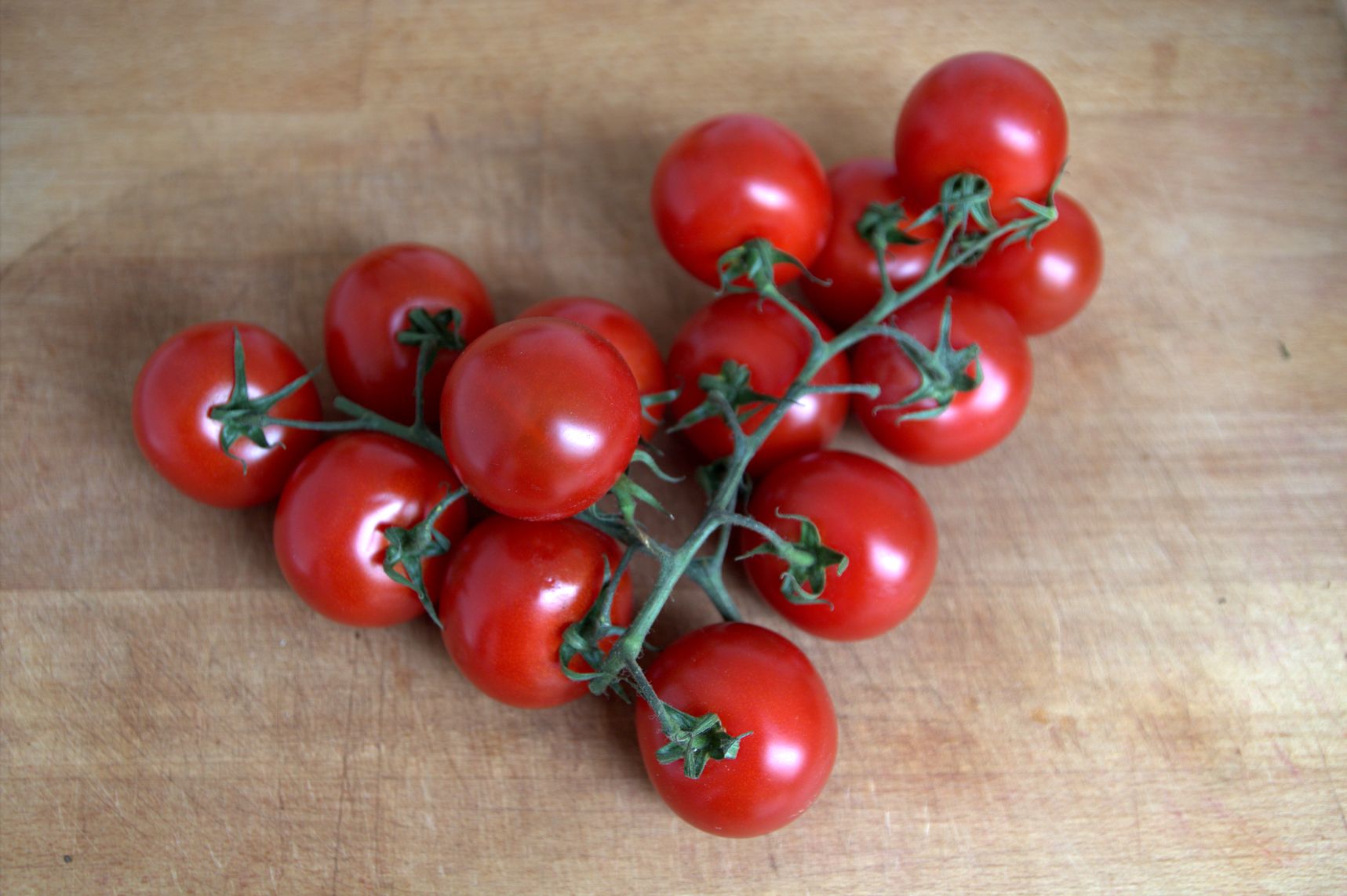Sinkender Nährstoffgehalt in Tomaten