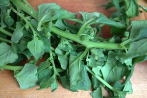 Nährstoffreiche Lebensmittel: Spinat